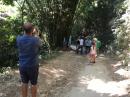 Walking through the bamboo forest